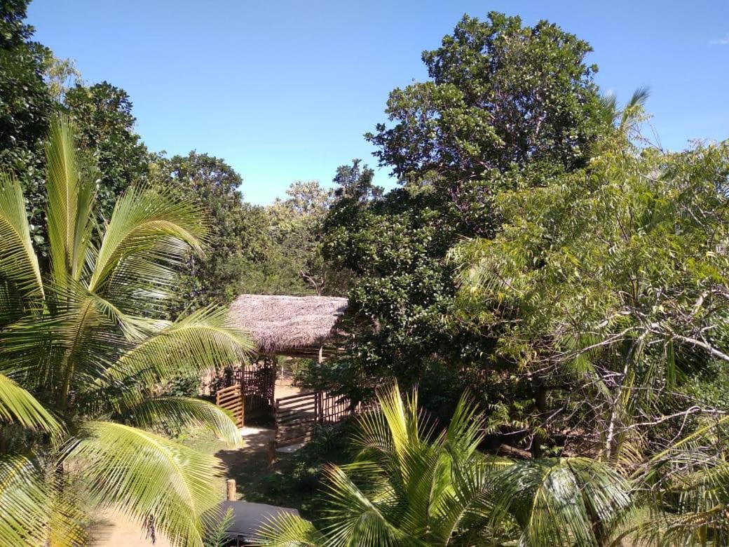 Home In The Island Tangalle Exterior photo
