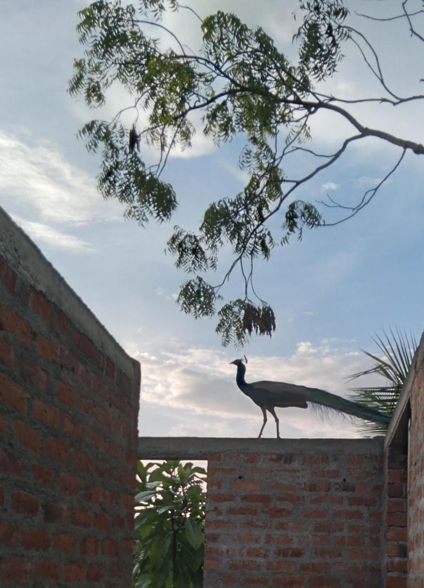 Home In The Island Tangalle Exterior photo