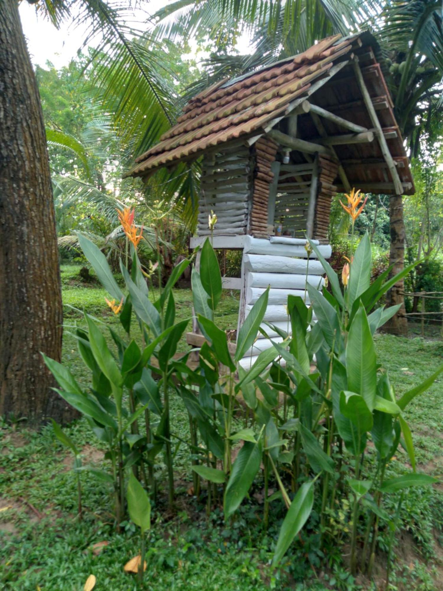 Home In The Island Tangalle Exterior photo