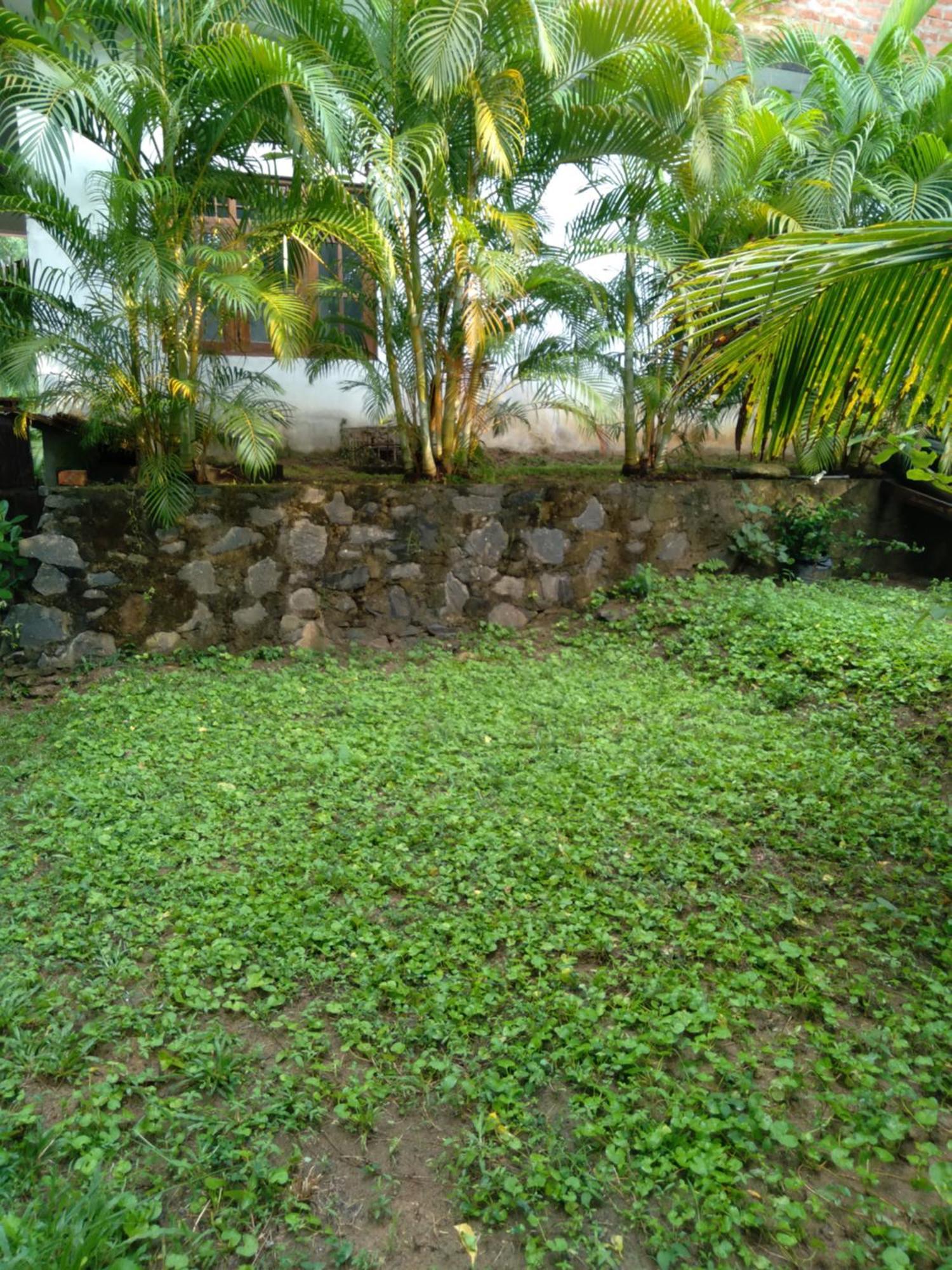 Home In The Island Tangalle Exterior photo