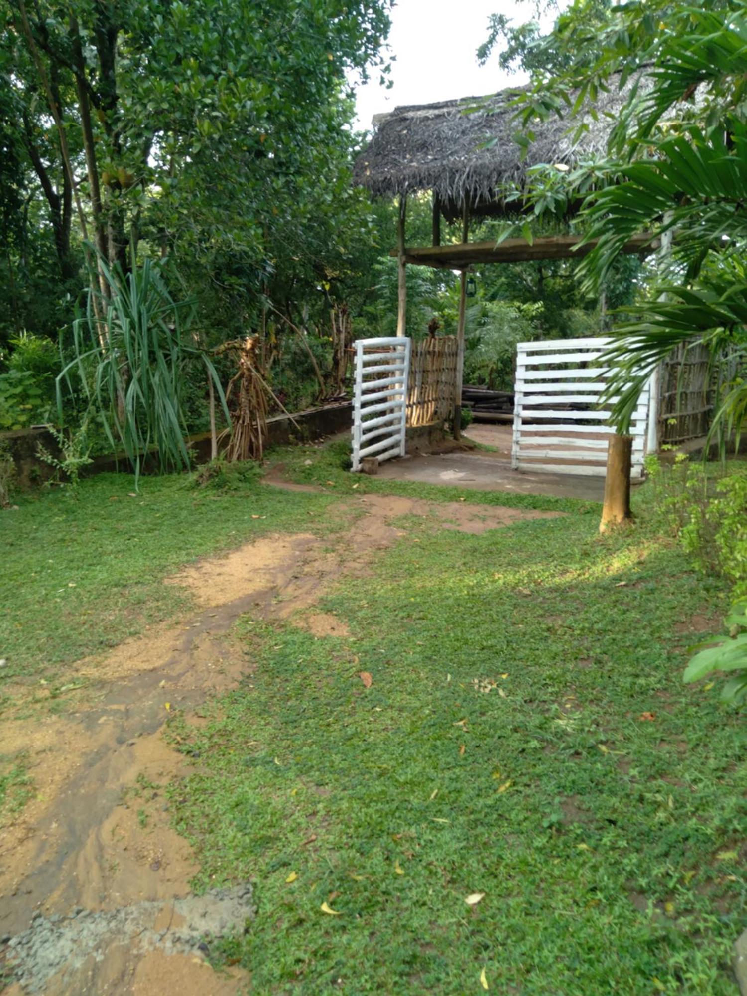 Home In The Island Tangalle Exterior photo