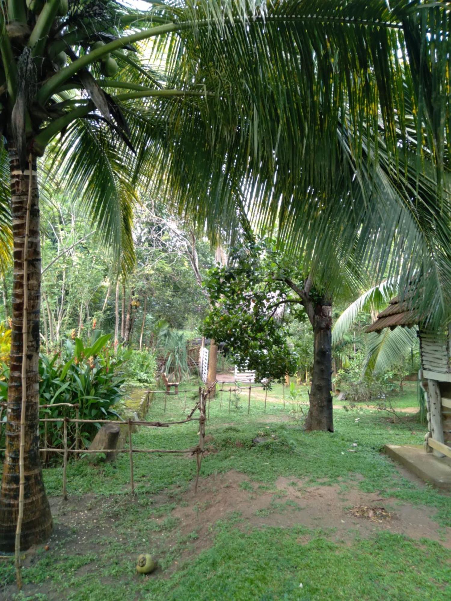 Home In The Island Tangalle Exterior photo