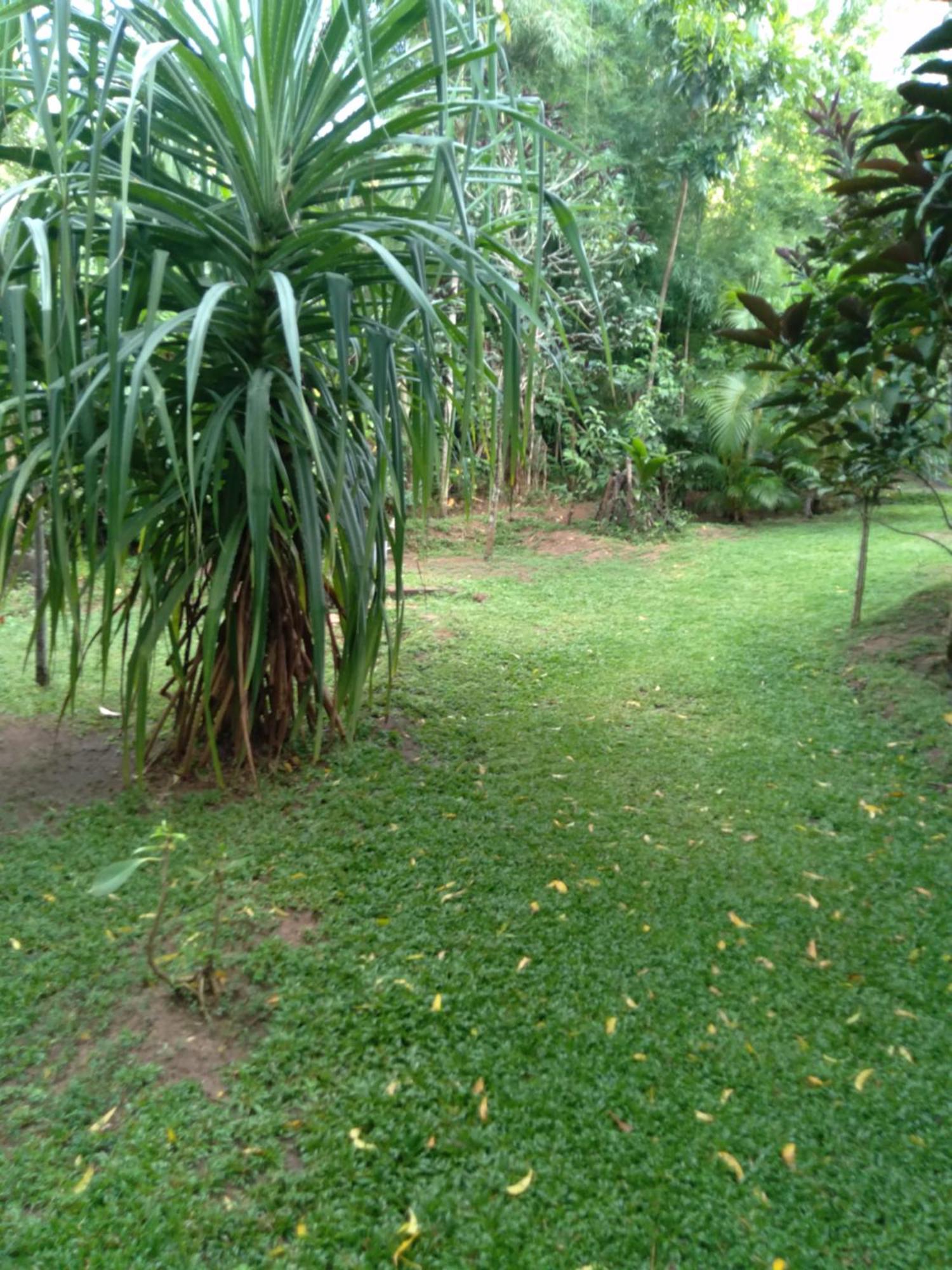 Home In The Island Tangalle Exterior photo